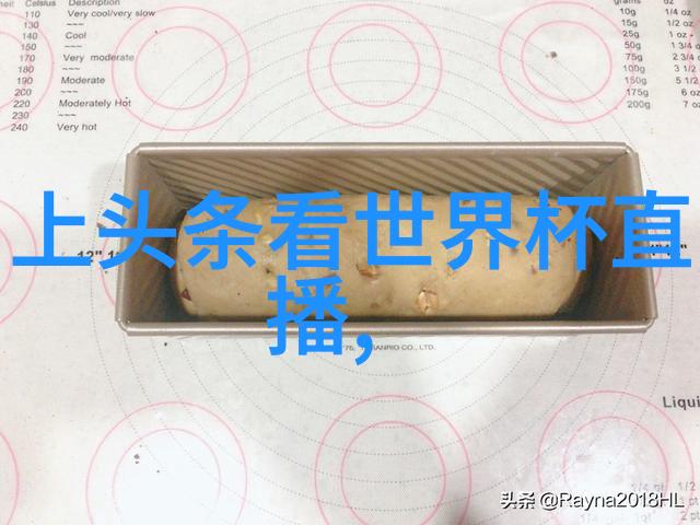 代号山豹秘密战士的传奇