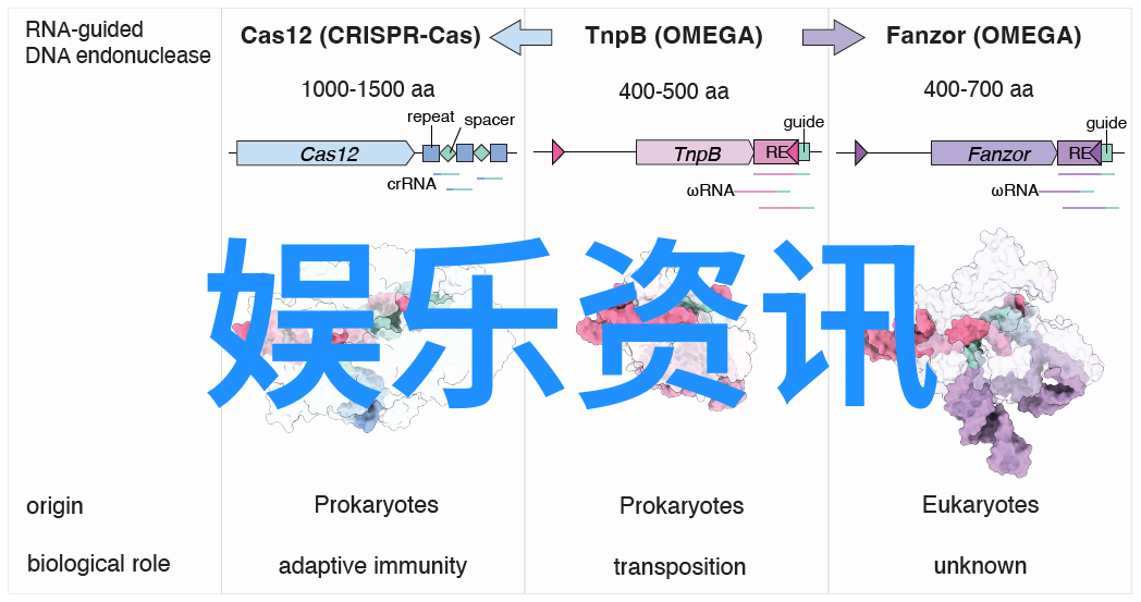 村落时尚巨擘揭秘农村网红排行榜前十强