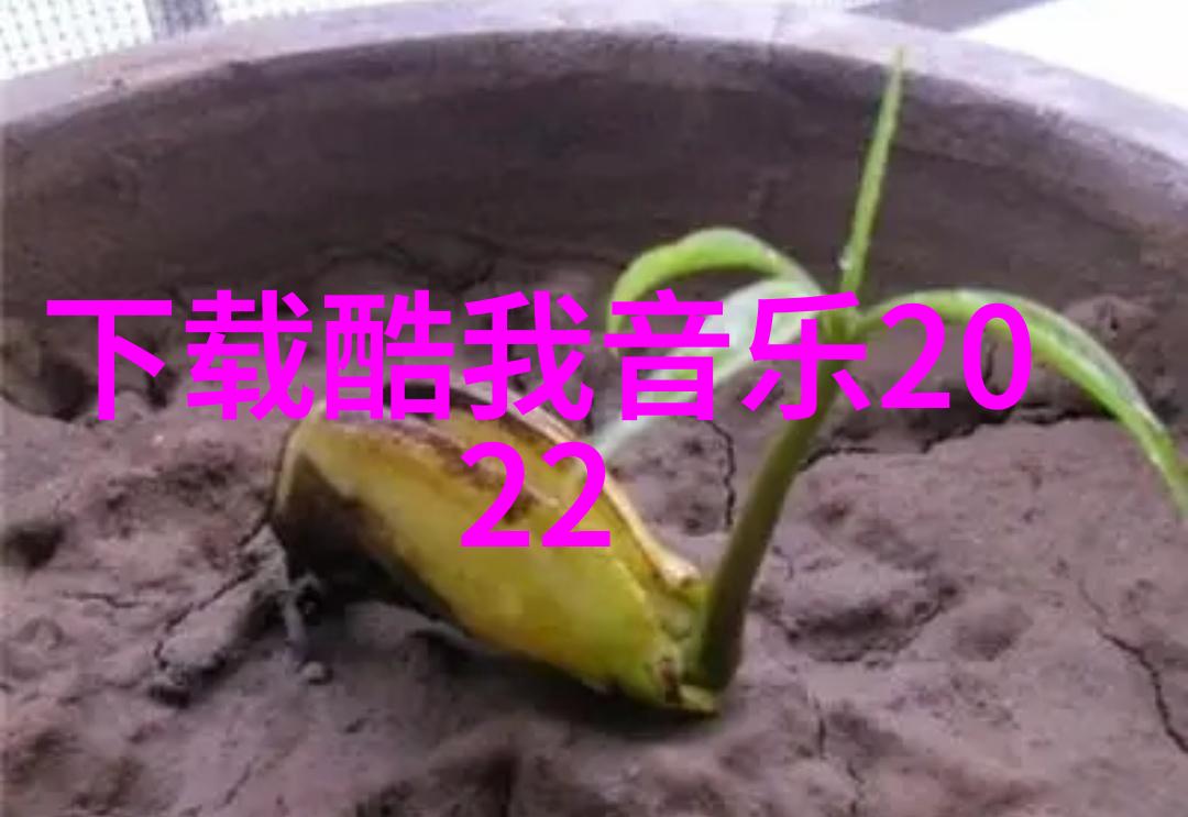 影之重铸2023年坚如磐石的秘密