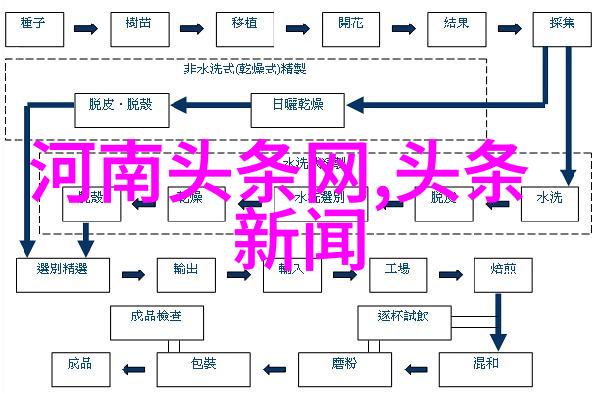 网红雪梨面相与传统食物有什么区别