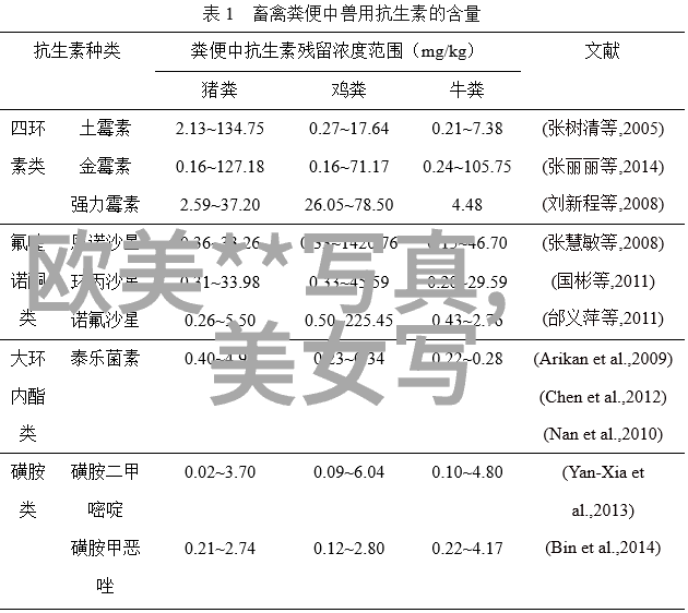 易经八卦解析古老智慧的象形与象征