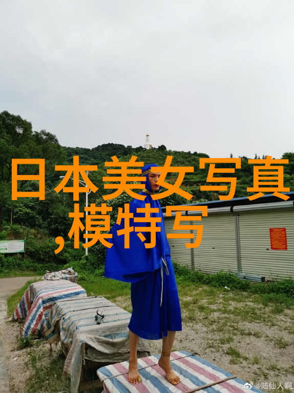 赵丽颖气质女神风范数据分析揭秘她最吸引人的写真瞬间