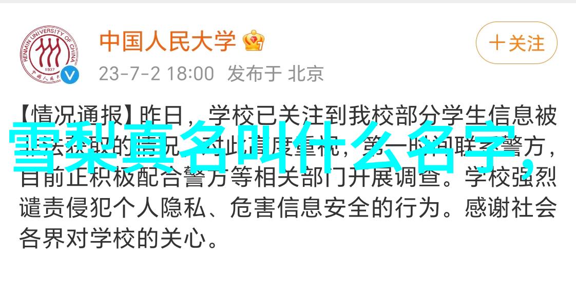 时尚舞台纵横交错的流行与美学