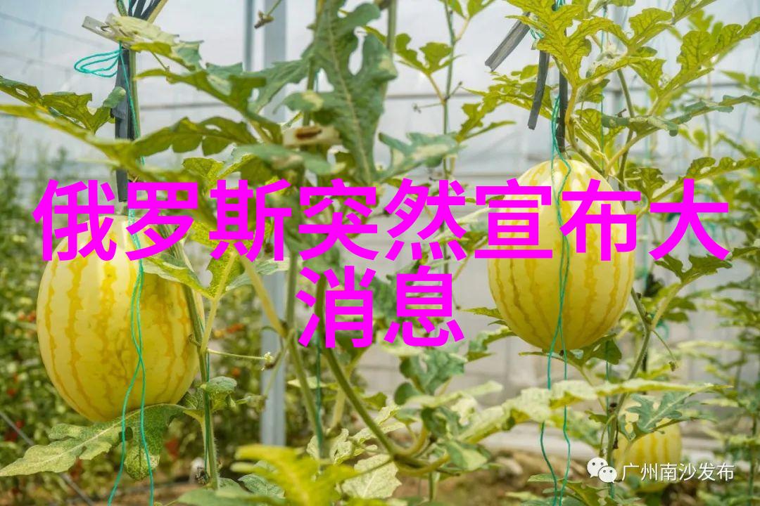 重燃古韵最新热播古装电视剧精选