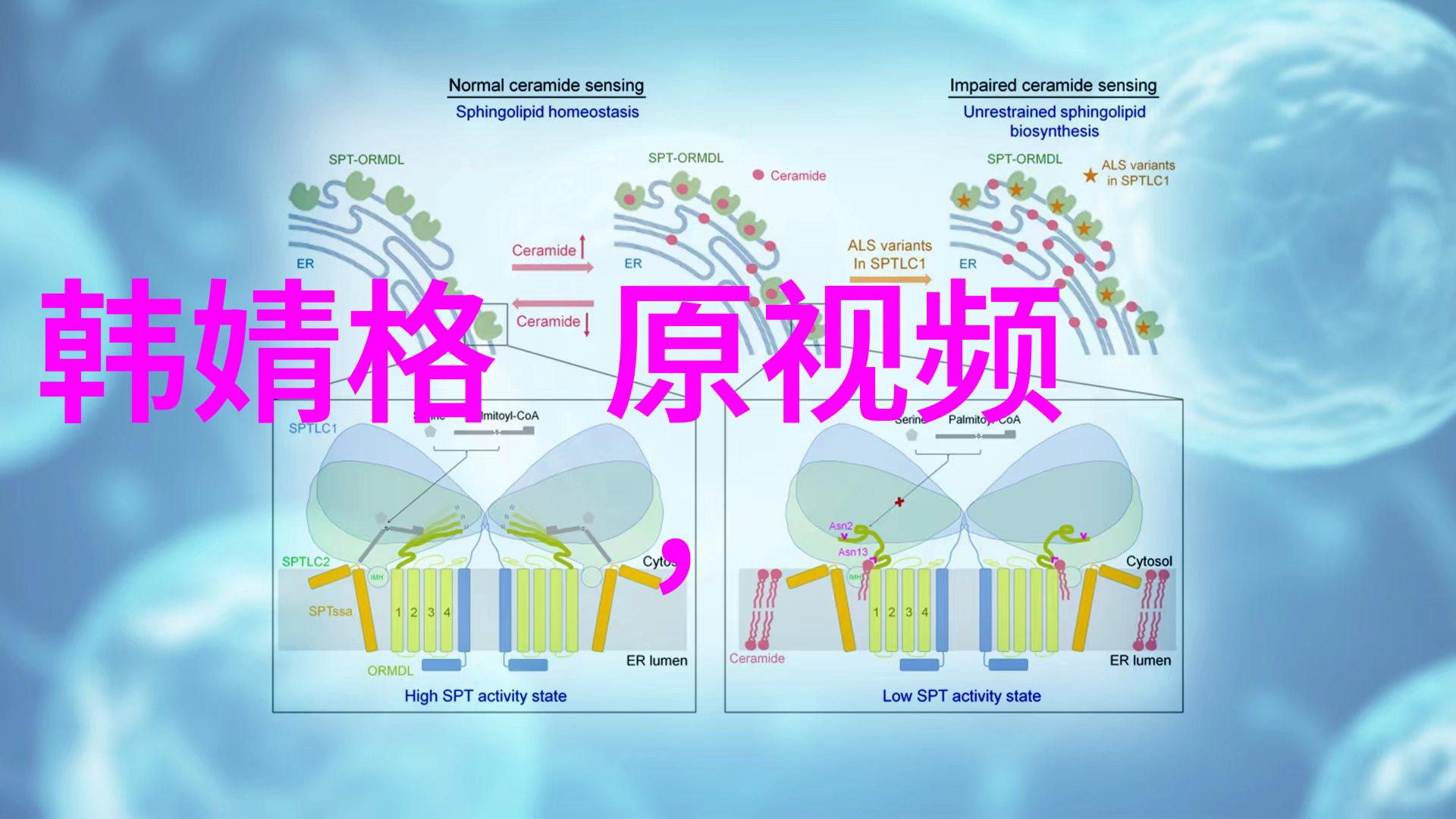 2021年抖音女网红风云榜流量与魅力并重的新一代影响者