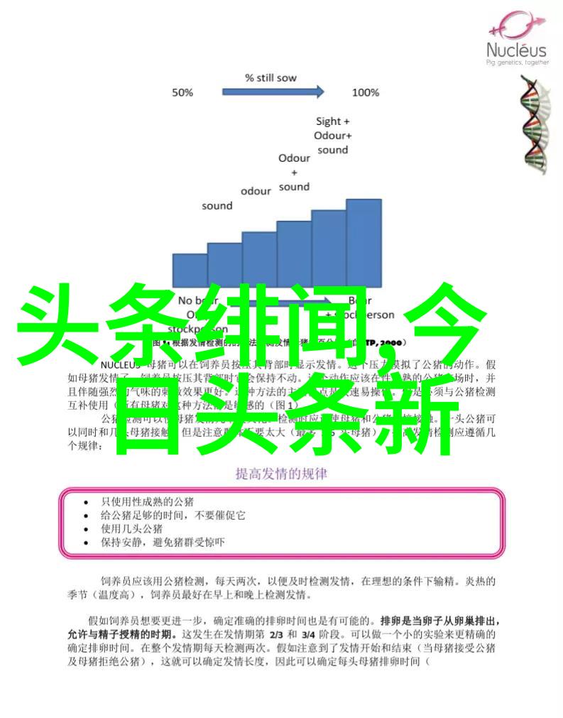 探秘AV界幕后的艺术与商机从拍摄到分发的完整链条