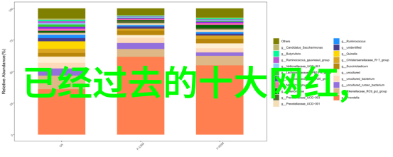 算命真伪揭秘星盘与风水的准确度