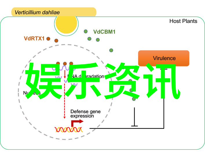 网红雪梨黑历史我的探秘之旅从粉丝眼中的完美偶像到背后的真相