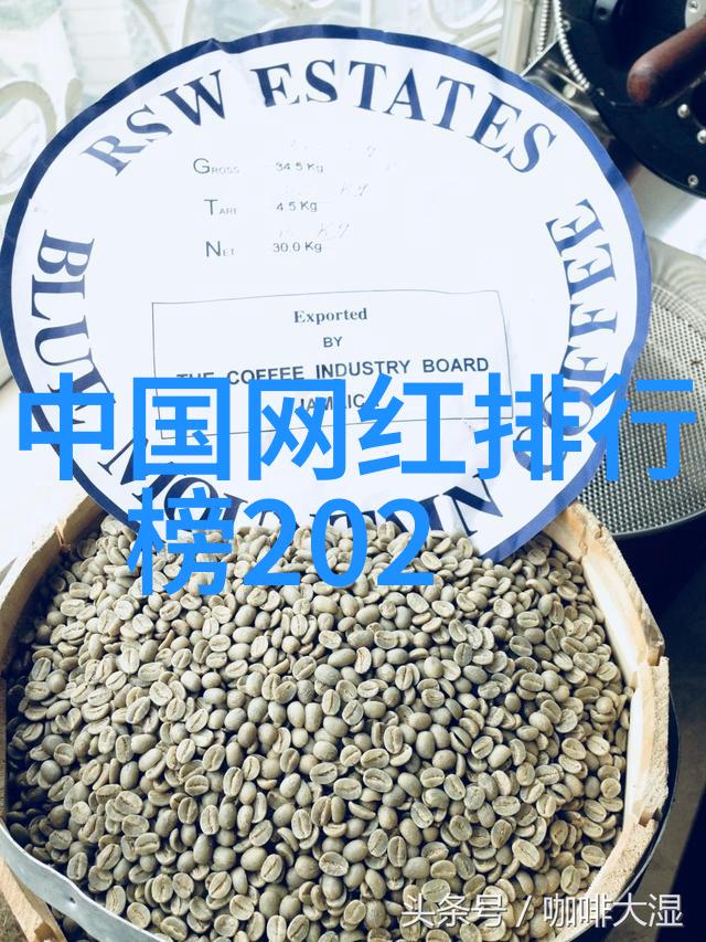 星光闪耀红毯背后的秘密