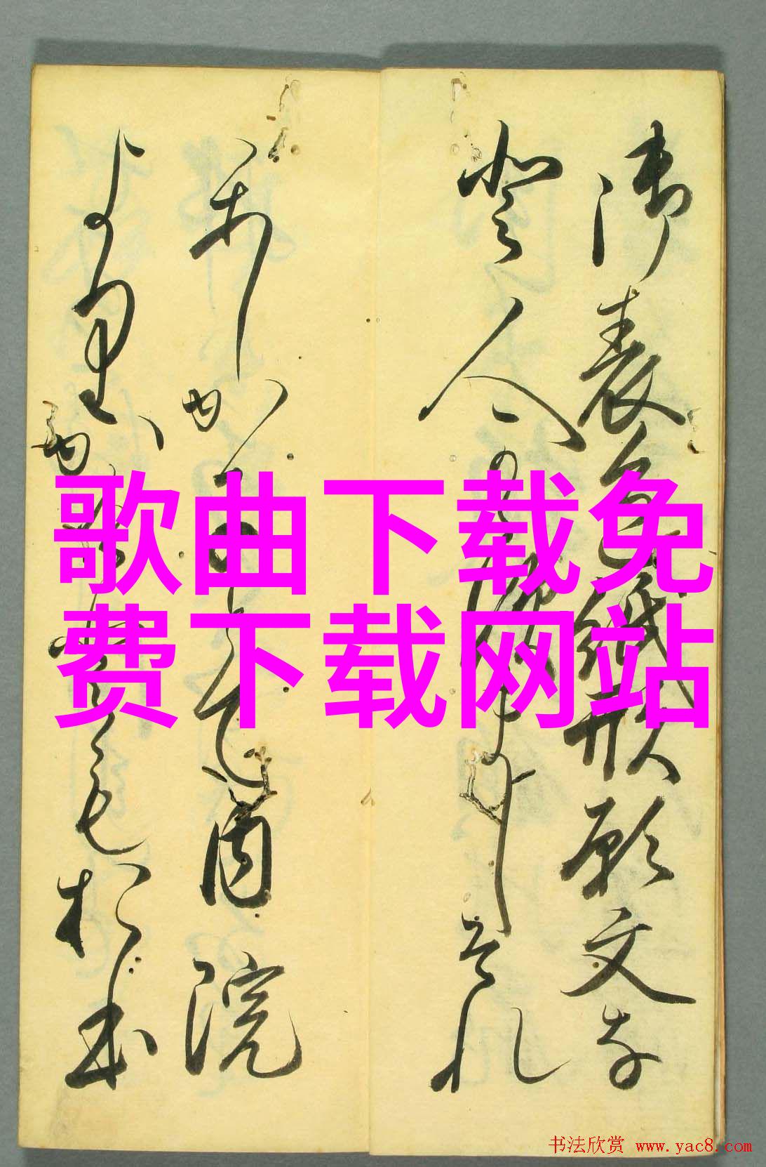 野花日本大全免费观看3中文版5-探索日本隐秘角落的野花之旅一本免费中文指南