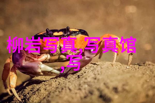 台湾现在最新情况最新消息-疫情缓解与政治动态台湾新常态的双重考验