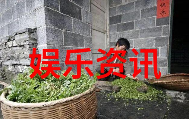 文化交流项目被暂停台湾突然宣布两岸艺术节取消