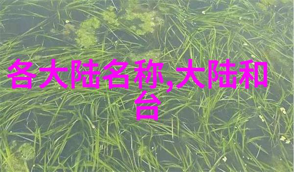 酷客影视-追逐梦想的镜头酷客影视创作故事