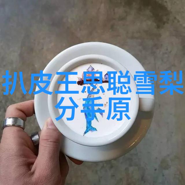 变形计韩安冉个人资料片微博QQ号揭秘综艺盛典背后的物品故事