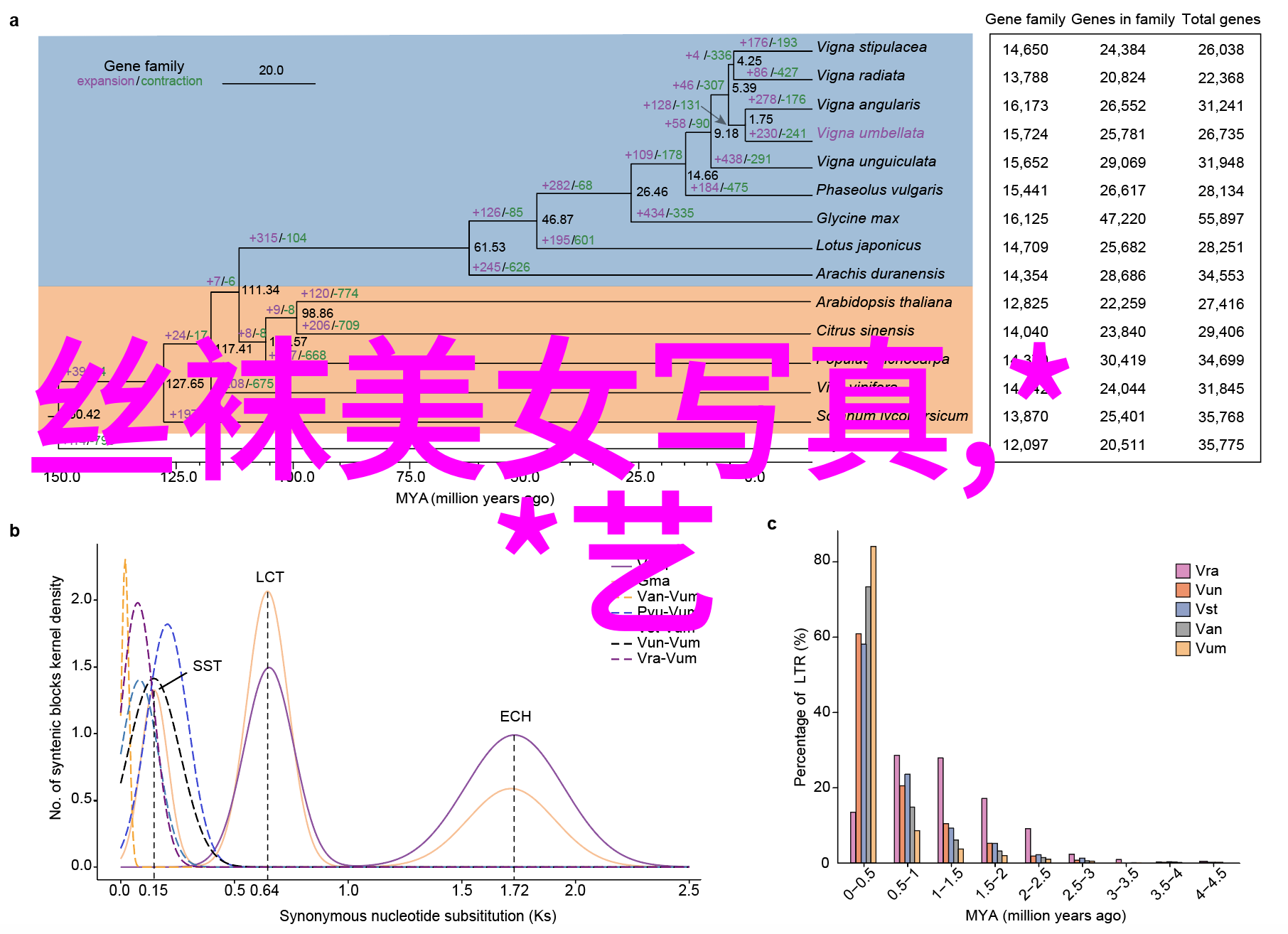 孤注一掷逆袭的边缘