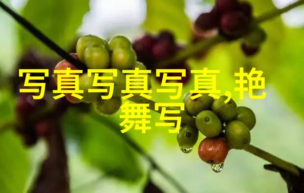 翻阅岁月421页的回忆与故事