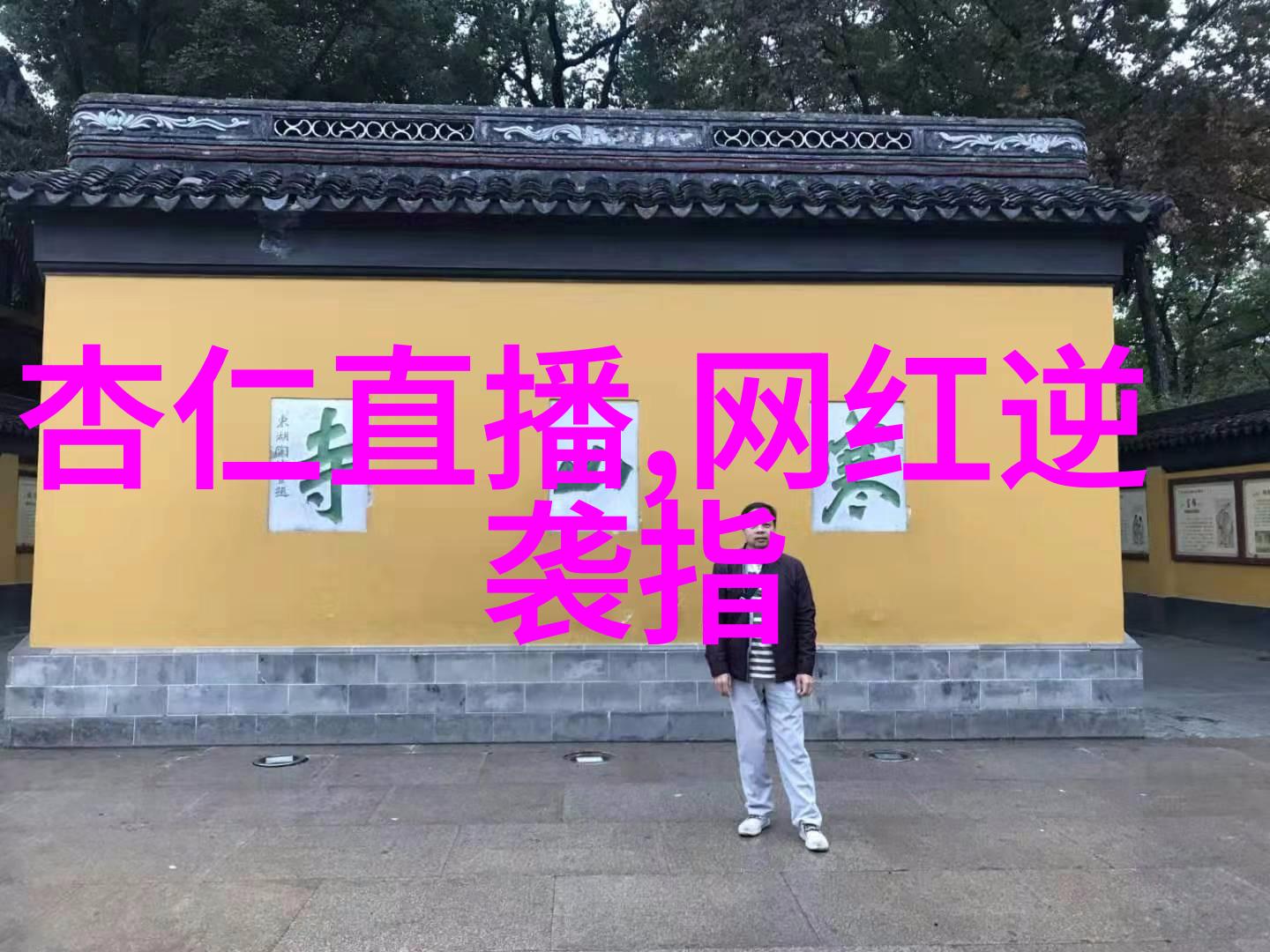 影帝梦工厂从幕后到闪耀前台的奇幻之旅