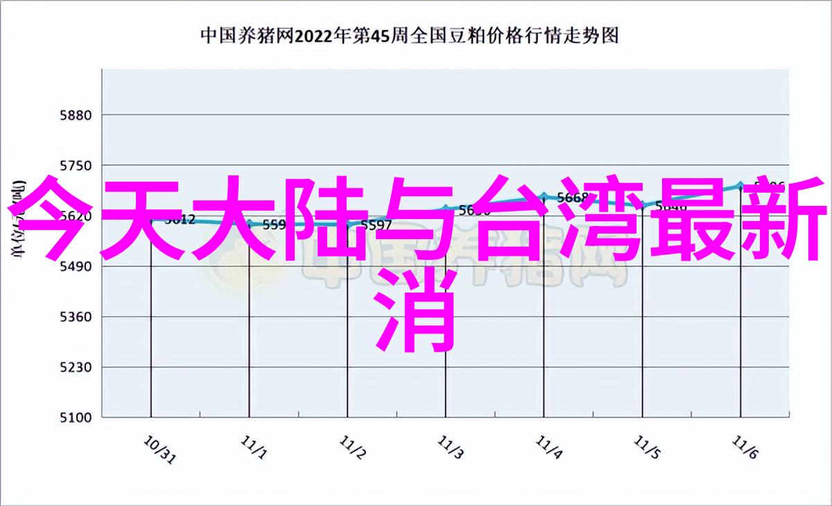 明星写真闪耀的镜头下