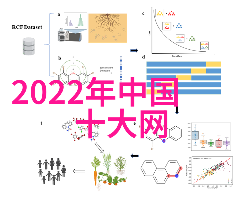 成为阴阳人后我苟活下来超自然生存技巧