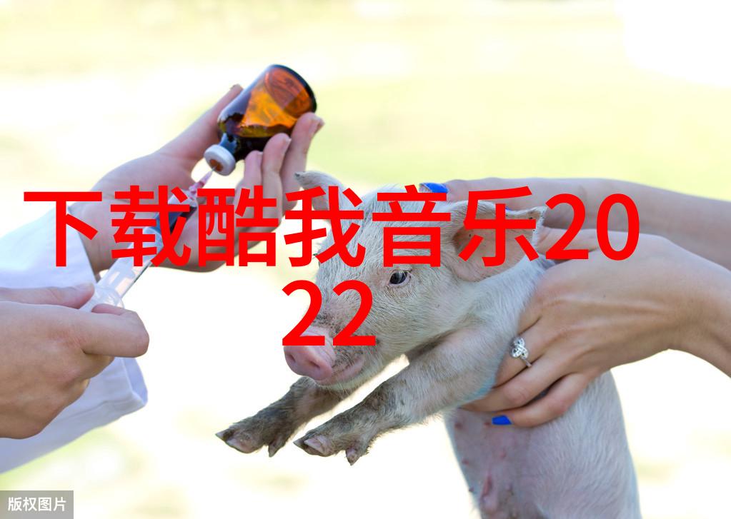 磐石之下流沙之上2023年的电影奇幻之旅