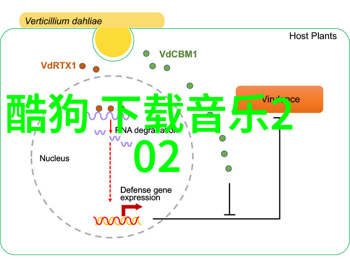 为何每年的3月会有不同的星座出现