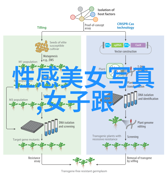 卡通图片-色彩斑斓的动画世界探索卡通图片背后的艺术与文化