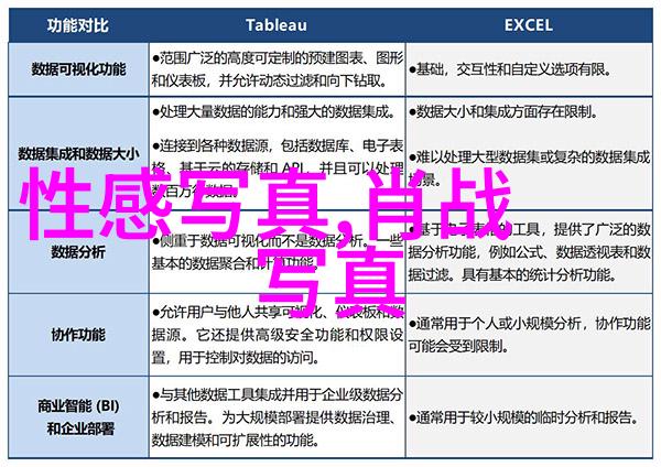 最强gy平台小蓝网站视频我是如何成为小蓝网上的视频巨星的