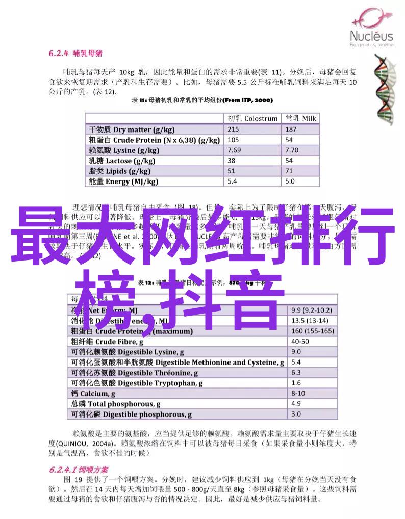 韩国搞笑综艺-笑声满屋探秘韩国流行喜剧秀