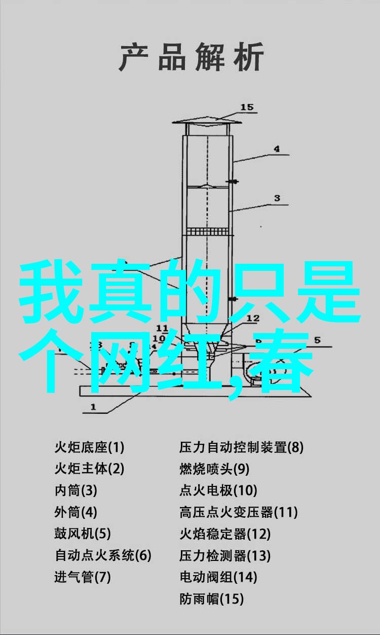 课堂之外的秘密英语老师与小兔兔的故事