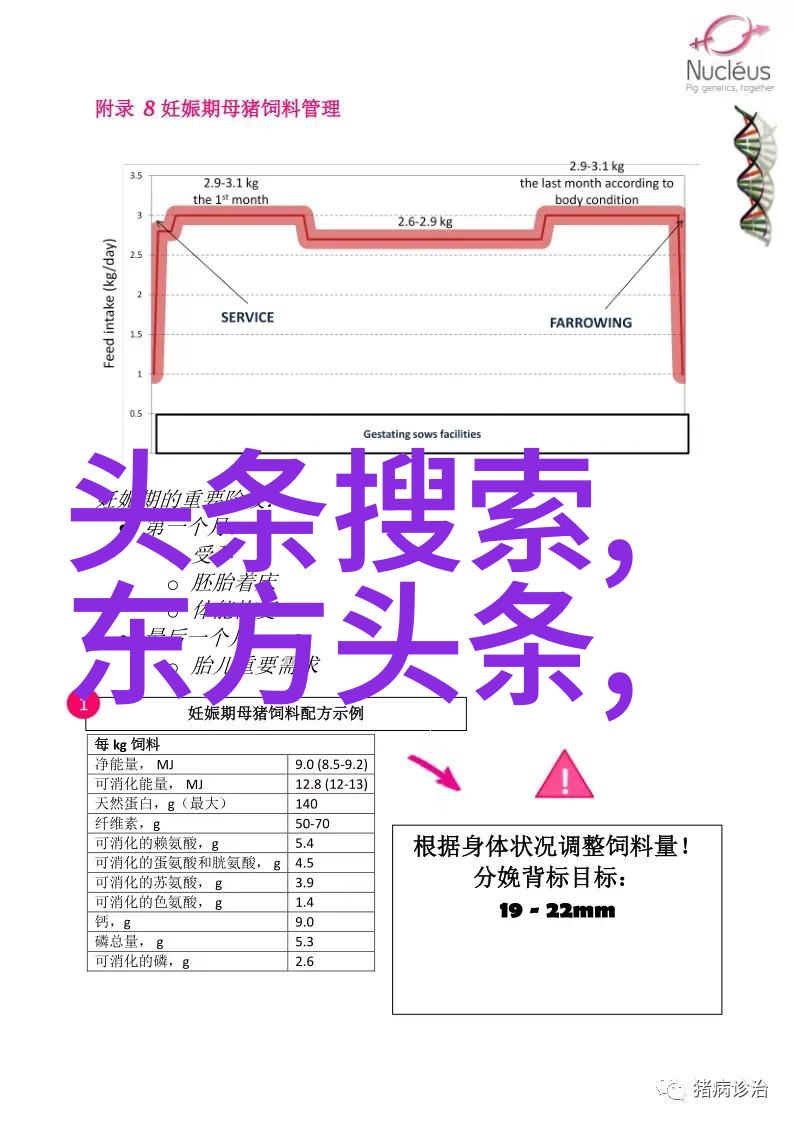 冰冷的宫廷揭秘电视剧中的冷宫传说