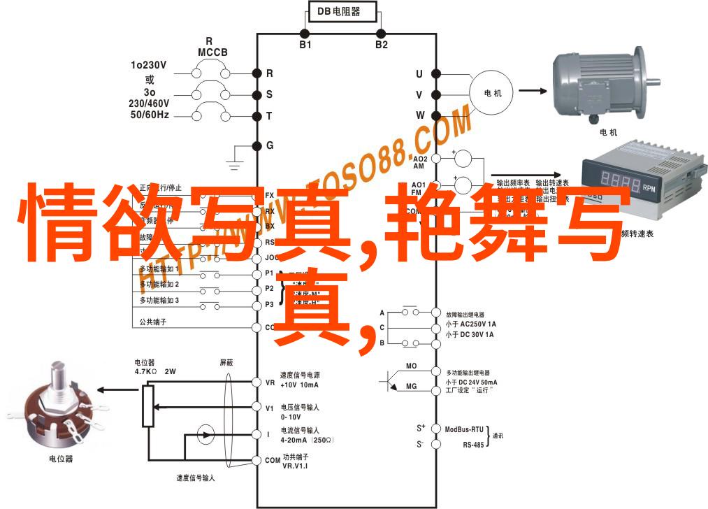 穿越镜头的秘密解读内衣写真背后的故事