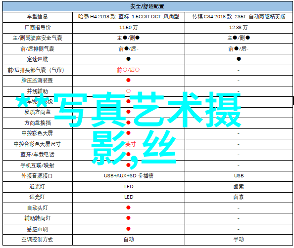 金正恩身边女保嫖 金正恩身边的贴身黑衣女保镖