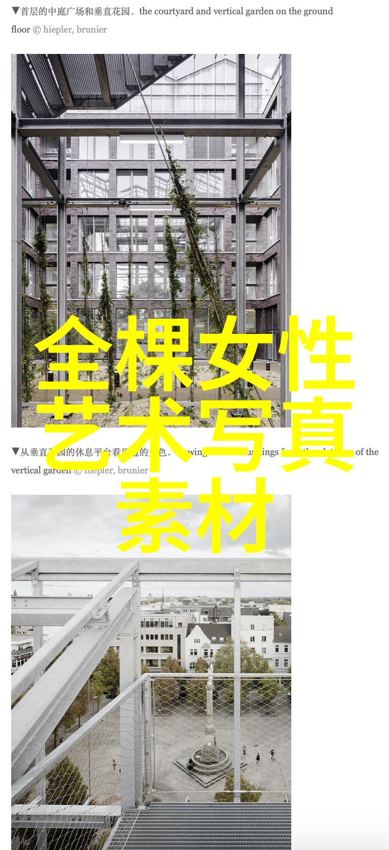 东方时尚驾校报名-驾向风尚东方时尚驾校开启新学期招生