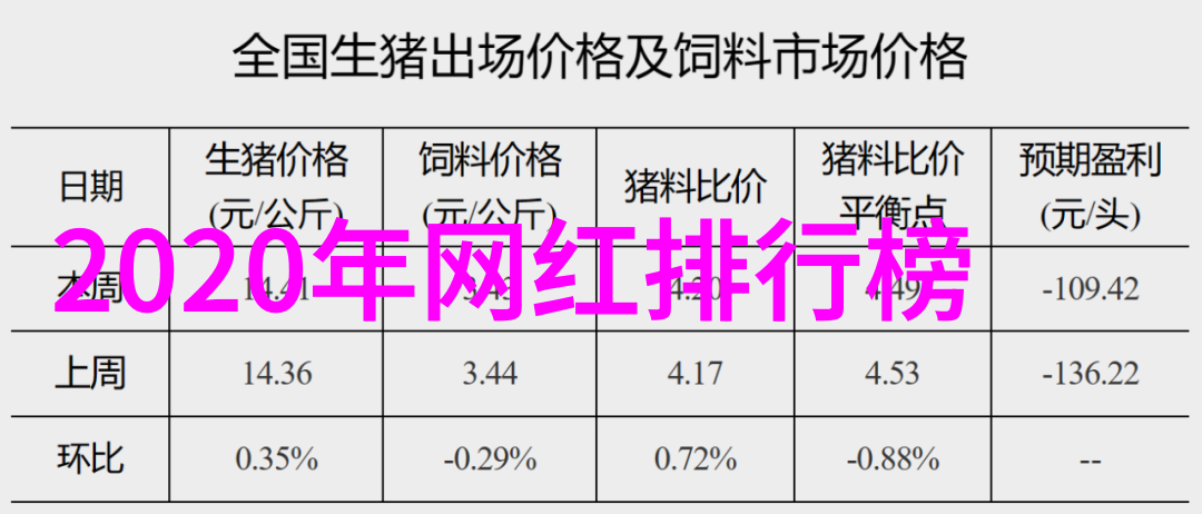 台湾当代社会现状台湾现代化发展与文化多元性