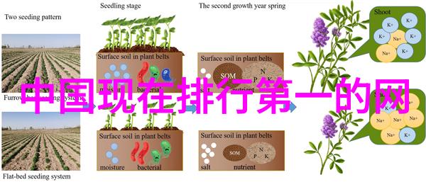 娱乐圈潜规则之皇明星背后的管理团队