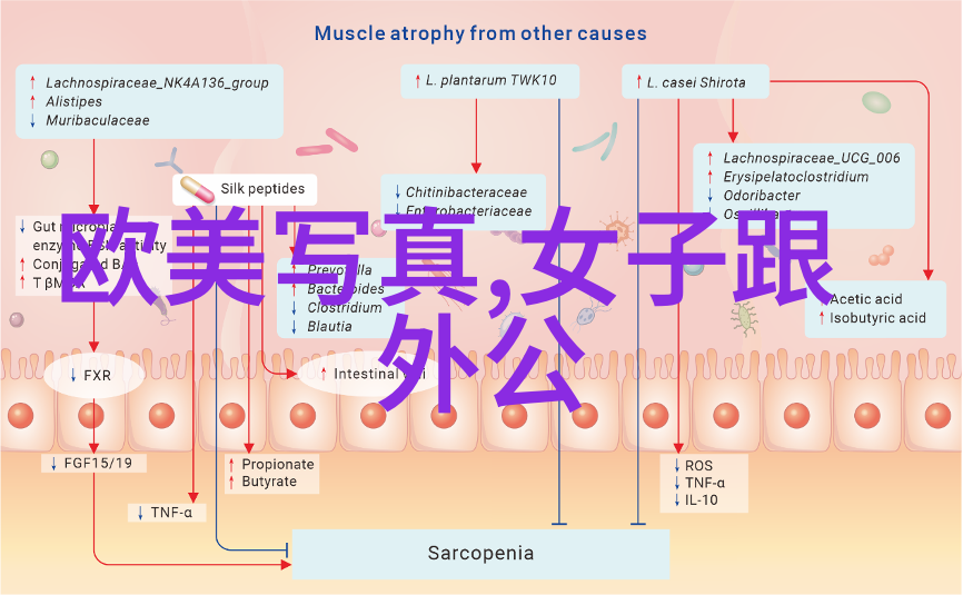 日系娱乐风潮日本综艺节目在全球的影响力