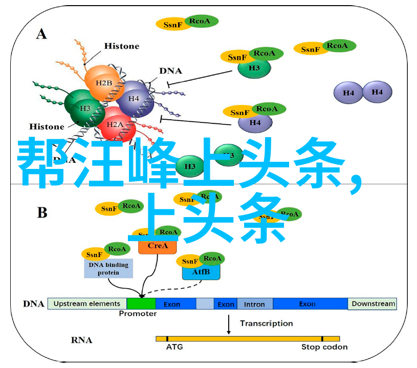 我们为什么需要更多的心态淡定图片它们能带给我们的影响有哪些