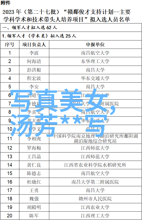 娱乐圈-综艺热榜揭秘那些让观众疯狂的节目