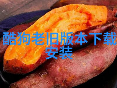 天然灾害风险评估报告揭秘高风险区域分布情况