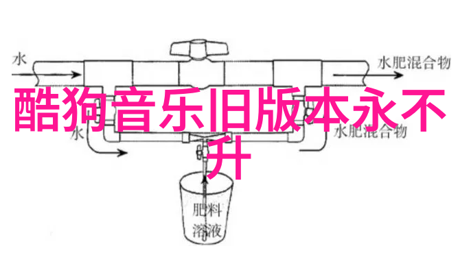 日夜交替的娱乐场所揭秘日本成人综艺背后的文化与魅力