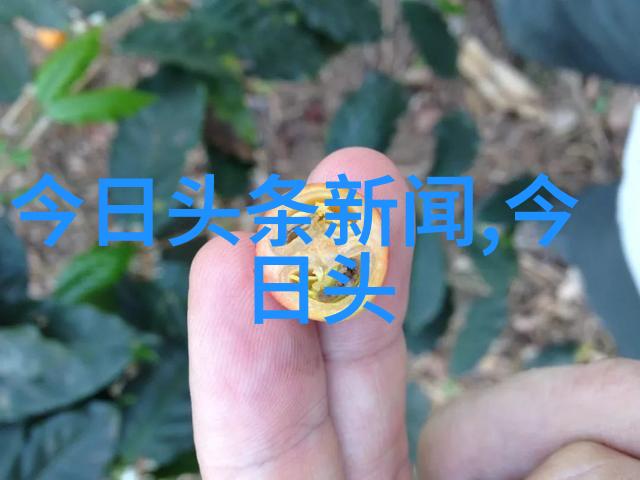 岛城风云新一代领袖的挑战与机遇