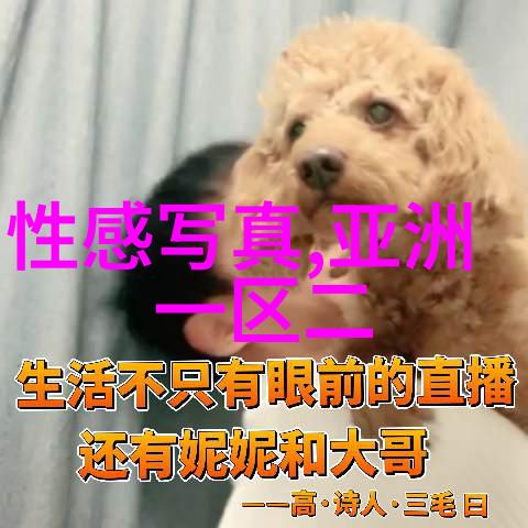 陈妍希探访台湾最新消息现场