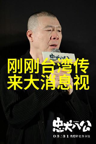 在炮声中寻找和平记一次特殊的准备先对开火行动