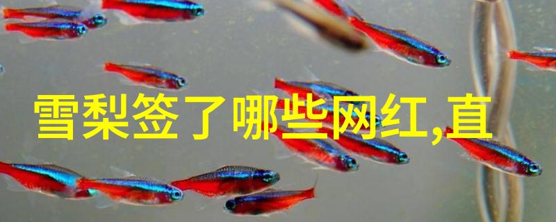 在大陆合法吗隐秘的边界与光明的追求