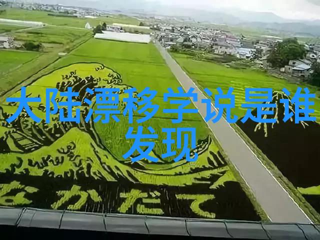 心情满满的2022新鲜图片色彩斑斓的生活瞬间