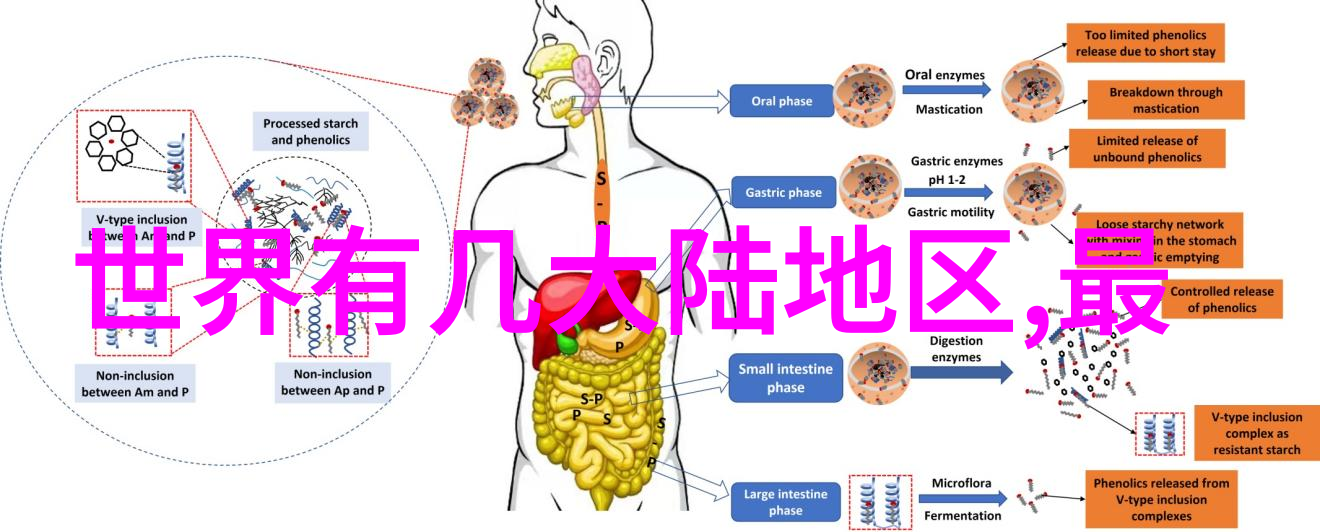 成人影视隐秘的世界与观众的心灵探索