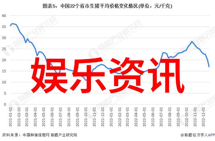 欲罢不能综艺娱乐盛宴中的无尽魅力