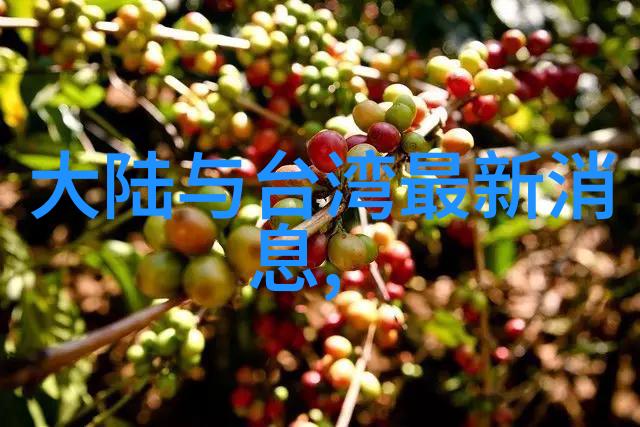 色彩与情感的编织2022年最佳艺术照片选秀