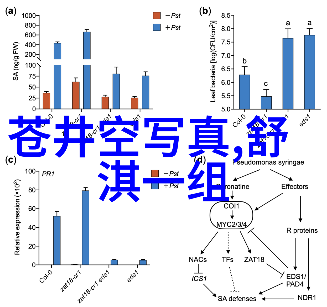 八卦背后的智慧解读五行与人生轨迹