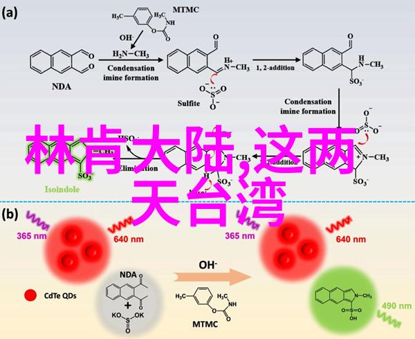 泡泡影视筑梦苍穹的航天奇遇